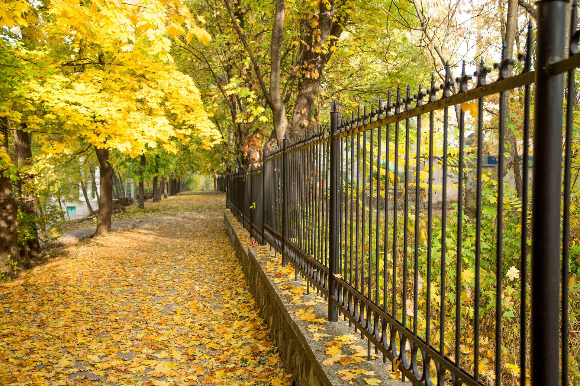 autumn-alley-with-side-fence,jpg